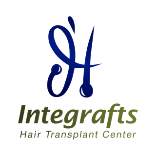 logo integrafts mobile full